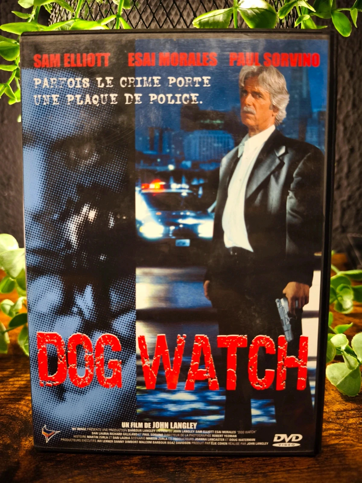 Dog watch